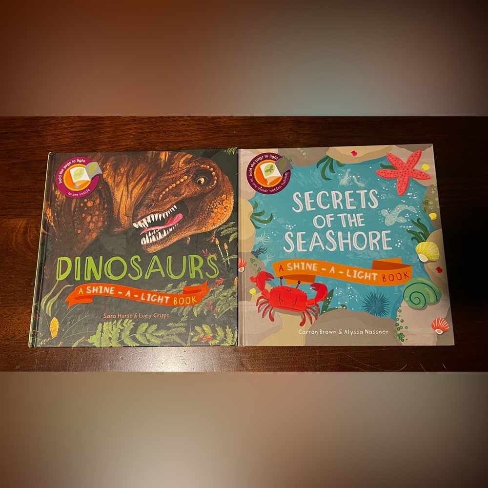 Shine-a-Light Books: Dinosaurs & Seashore